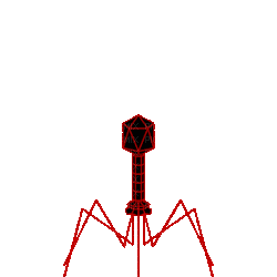 bacteriophage - Ilmainen animoitu GIF