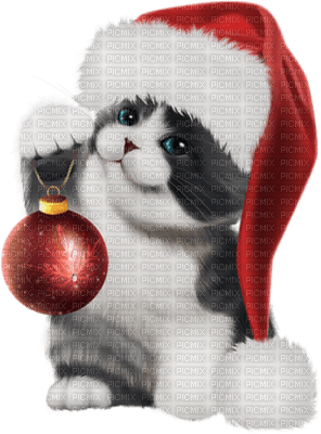 Kaz_Creations Cats Cat Kittens Kitten  Christmas - png gratuito