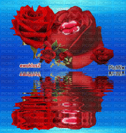 roze - GIF animado grátis