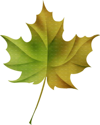 Kaz_Creations Deco  Colours  Leaves Leafs - png ฟรี