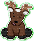 reindeer webkinz - Gratis animeret GIF