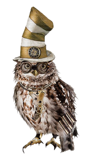 hibou  owl steampunk - Gratis geanimeerde GIF