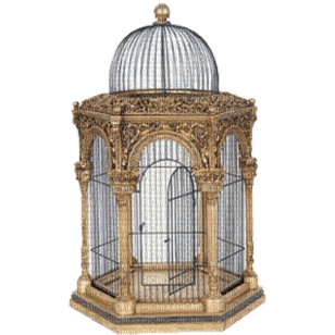 Cage - ilmainen png