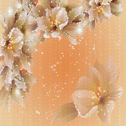 background hintergrund fondo flowers - GIF animado grátis