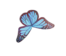 ✶ Butterfly {by Merishy} ✶ - фрее пнг