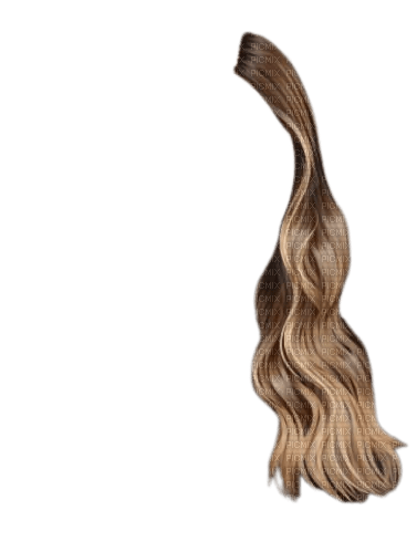 cheveux  (gauche) - PNG gratuit