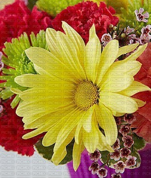 Flowers fleurs flores - PNG gratuit
