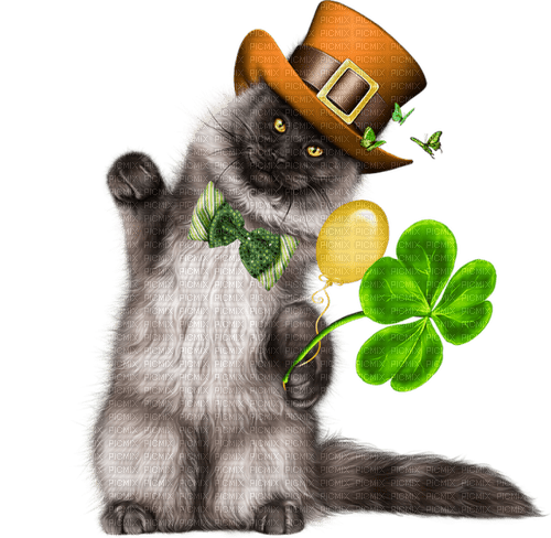st. Patrick cat  by nataliplus - gratis png