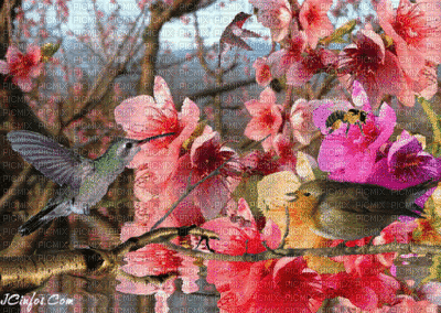 gif paisagem floral fundo - Darmowy animowany GIF