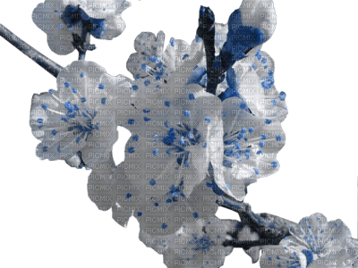 Kaz_Creations Flowers Blue,White - δωρεάν png