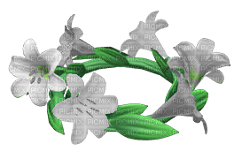 White Lily Crown - ücretsiz png