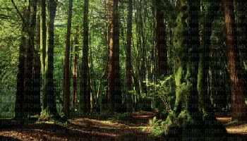 MMarcia gif paisagem fundo - 無料のアニメーション GIF