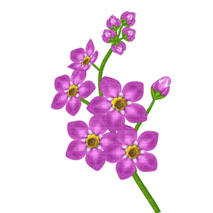 purple flowers 3 - безплатен png