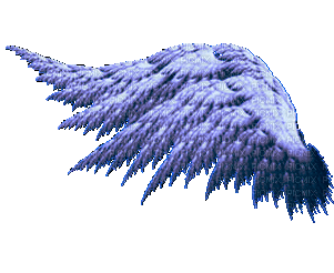 крылья - Δωρεάν κινούμενο GIF