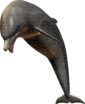Kaz_Creations Dolphin - bezmaksas png