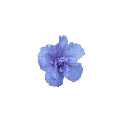kikkapink deco scrap blue flower - PNG gratuit