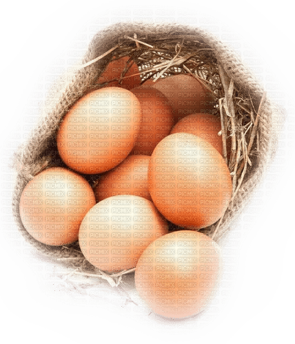 Eier, Eggs - png ฟรี