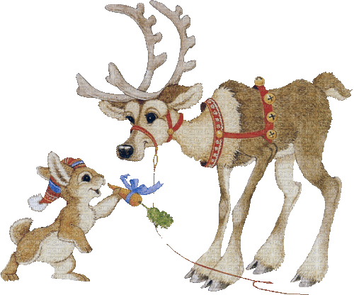 reindeer x-mas - Zdarma animovaný GIF