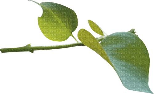 dolceluna leaves branch - PNG gratuit
