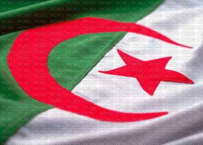 algerie - gratis png