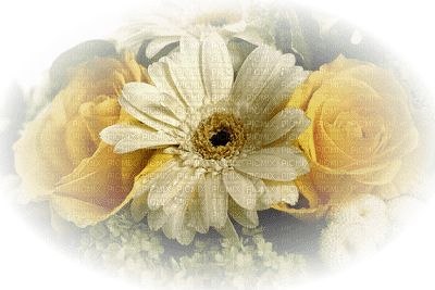 dekoracja kwiatowa - Free PNG