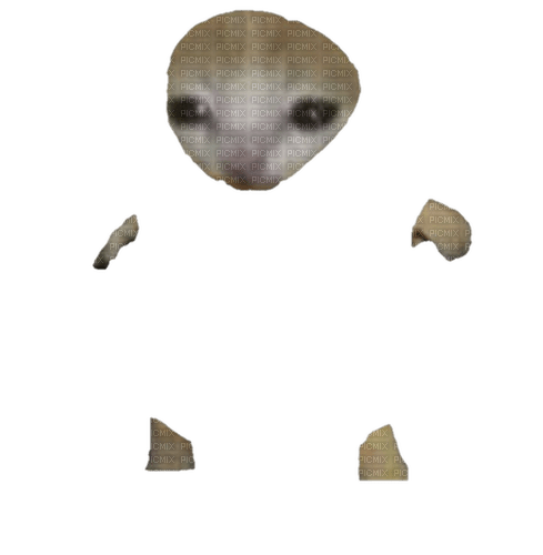 silly cat - zdarma png