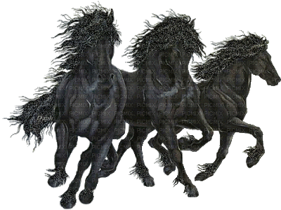 Black Stallions Art - GIF เคลื่อนไหวฟรี