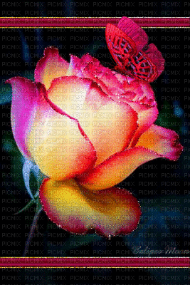 mariposa  rosa - Besplatni animirani GIF
