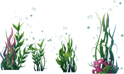 underwater plants deco sous -marin - zadarmo png