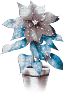 soave deco flowers vase christmas winter - PNG gratuit