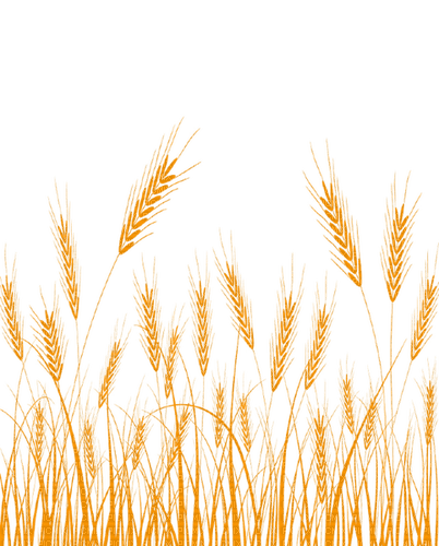 wheat Bb2 - kostenlos png