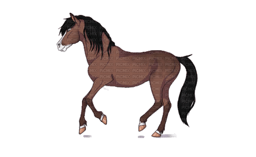 Horse, Adam64 - Gratis animeret GIF