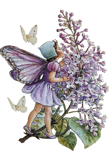 lilac flowers fairy violet - GIF animado gratis