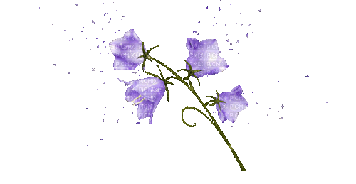 Цветок, анимация - 無料のアニメーション GIF