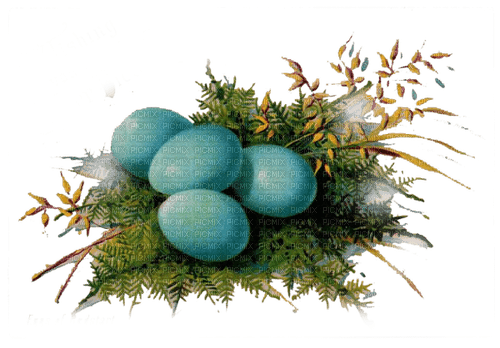 kikkapink egg easter vintage deco flowers - δωρεάν png