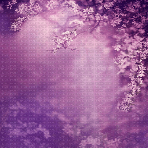 flowers background by nataliplus - kostenlos png