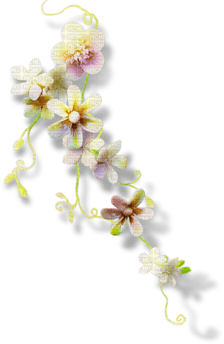 Flower Decoration - kostenlos png