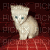 kitty blink - GIF animate gratis