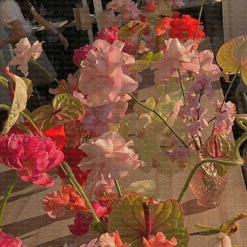 light flowers - nemokama png
