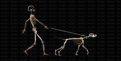 skeletons - PNG gratuit