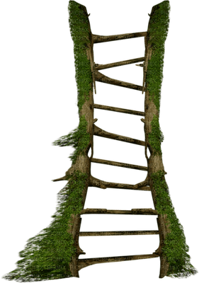 Kaz_Creations Ladders - kostenlos png