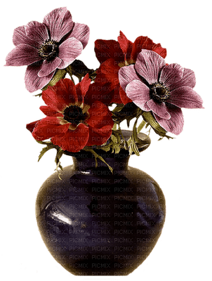 minou-flowers-blommor-fiori - PNG gratuit