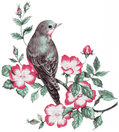 soave deco vintage bird  flowers pink green - 免费PNG
