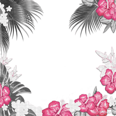 soave frame summer flowers tropical black white - png gratuito