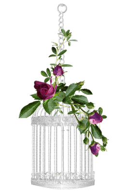 Kaz_Creations Deco Flowers Flower  Colours Cage - png gratuito