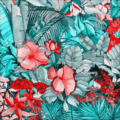 soave background animated tropical summer - Δωρεάν κινούμενο GIF