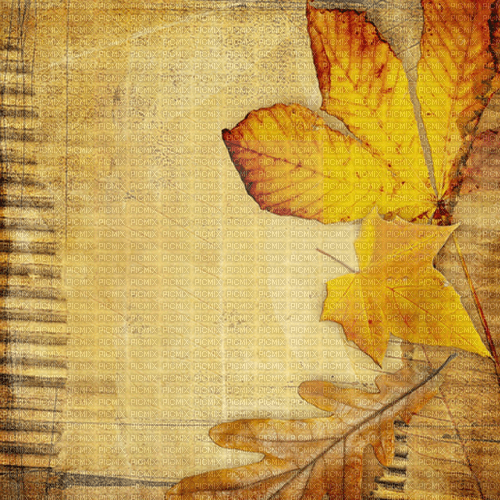 autumn background vintage texture kikkapink - PNG gratuit
