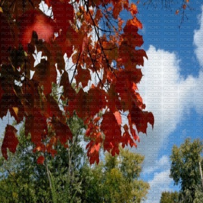 Kaz_Creations Backgrounds Background Autumn - png ฟรี