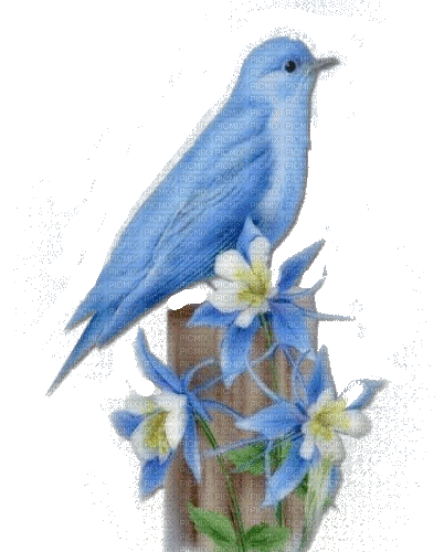 blue bird glitter