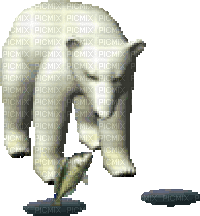 bear oso - Бесплатный анимированный гифка